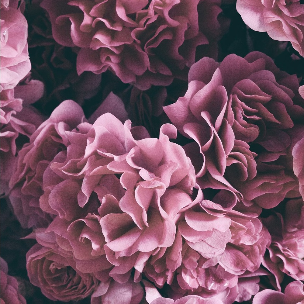 Meet your Posher, Girl